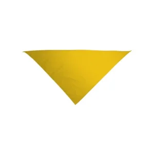 pañuelo triangular gala niño y adulto
