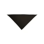 pañuelo triangular gala niño y adulto