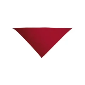 pañuelo triangular gala niño y adulto