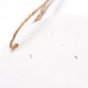 SAVIK - Imagen 3