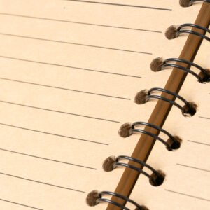 NUSAX - Imagen 3