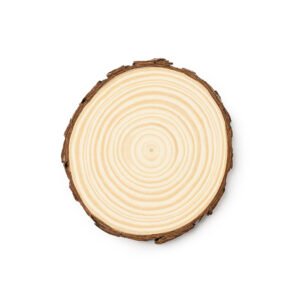PINEA - Imagen 2